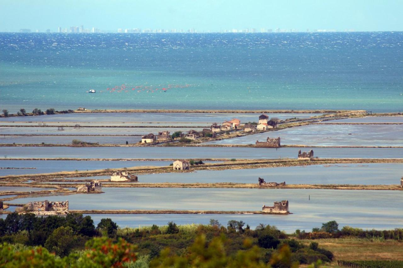 Apartment Sea View Istrian Countryside - Rota Dragonja