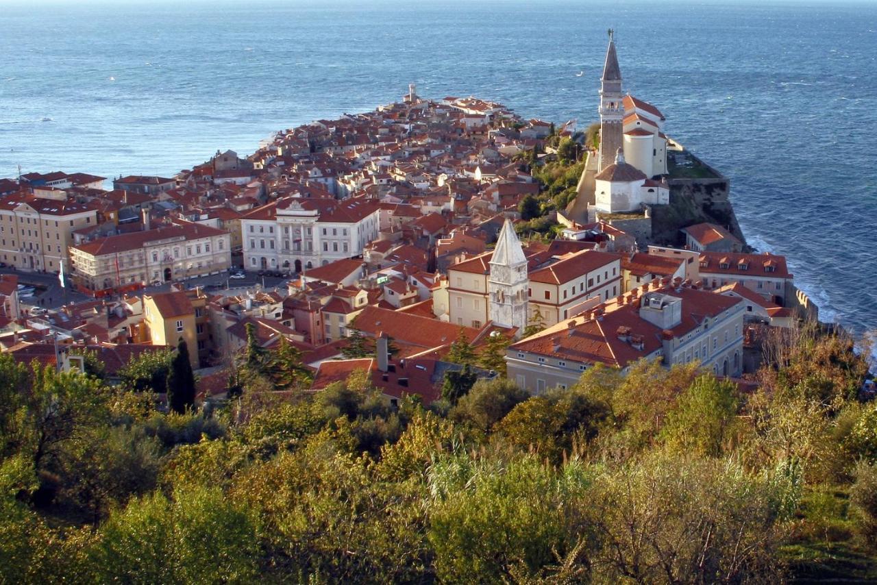 Sea View Istrian Countryside - Rota *