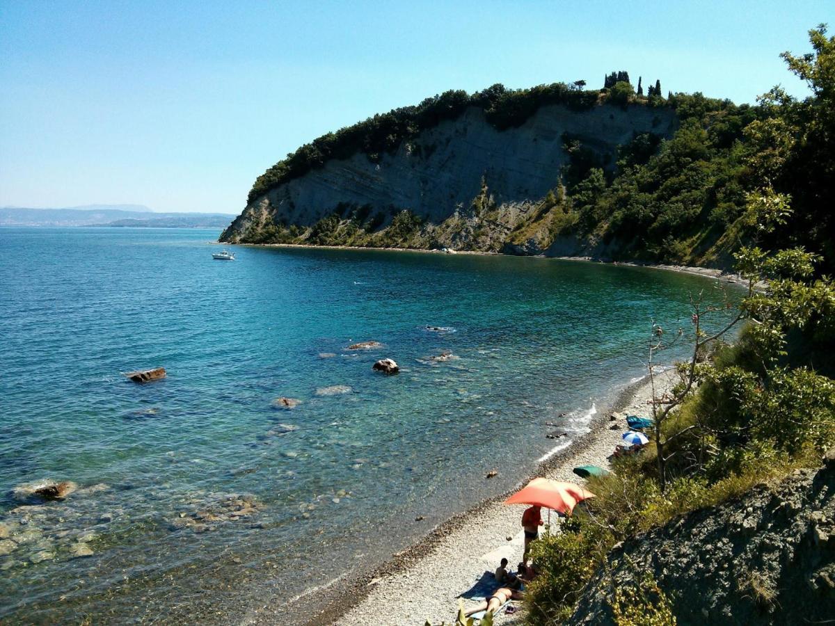 Sea View Istrian Countryside - Rota